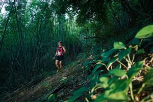 BIB: 
                            <button type="button" onclick="openModal(28124334)" class="btn btn-primary btn-sm float-right btn-popup" data-toggle="modal" data-target=".modal-high-quality">
                        <i class="fas fa-shopping-cart"></i> Add to Cart
                    </button>
                                            <button type="button" onclick="isThisMe(28124334, true)" class="btn btn-success btn-sm float-right btn-popup btn-isme hidden" data-toggle="tooltip" data-placement="bottom" title="นี่คือรูปของคุณใช่ไหม คลิกที่นี่เพื่อเอาเข้าอัลบั้ม">
                        <i class="fas fa-plus"></i> Add to album
                    </button>
                    <button type="button" onclick="isThisMe(28124334, false)" class="btn btn-warning btn-sm float-right btn-popup btn-isnotme hidden">
                        <i class="fas fa-ban"></i> Remove from album
                    </button>